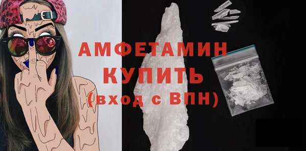 индика Заводоуковск
