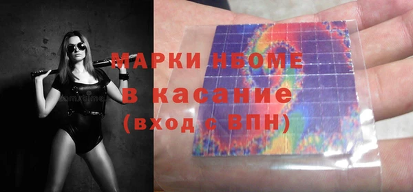 индика Заводоуковск