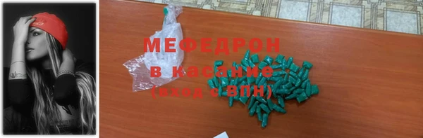 индика Заводоуковск