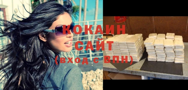 индика Заводоуковск