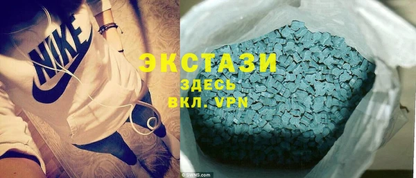 индика Заводоуковск