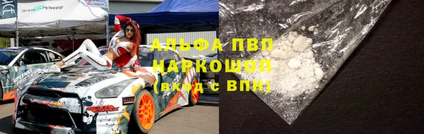 индика Заводоуковск