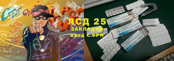 индика Заводоуковск