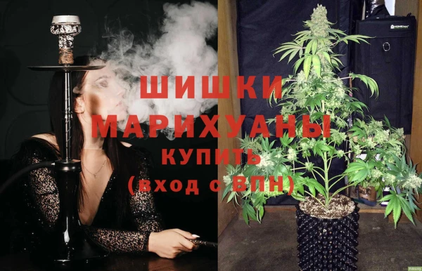 индика Заводоуковск