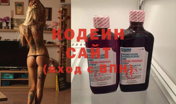 индика Заводоуковск
