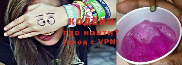 индика Заводоуковск