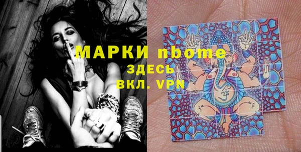 индика Заводоуковск
